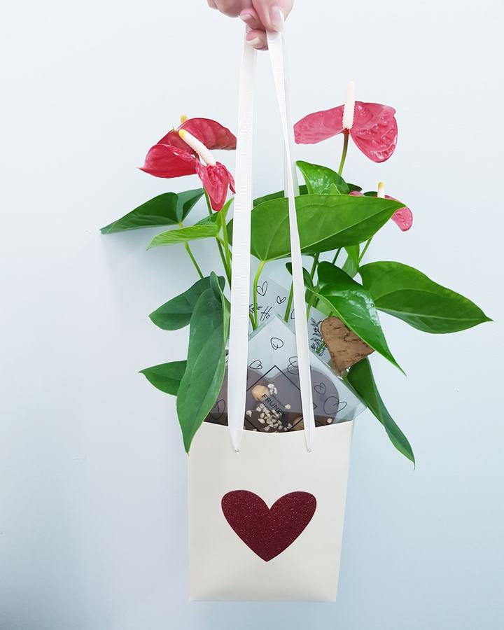 Valentines Gift Bag with RED Anthurium