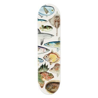 Skateboard - Fishes of NZ