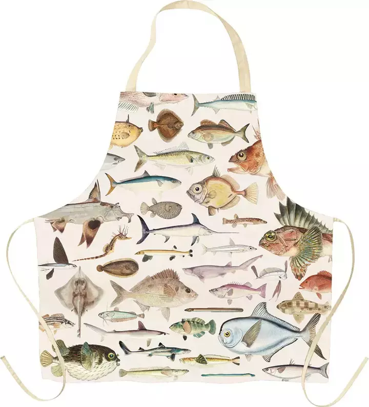 Fishes of NZ - Apron